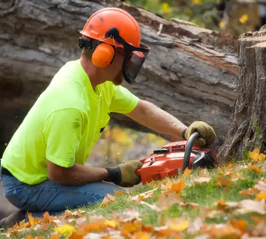 tree services Milford